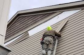 Best Fascia and Soffit Installation  in Franklin, NJ